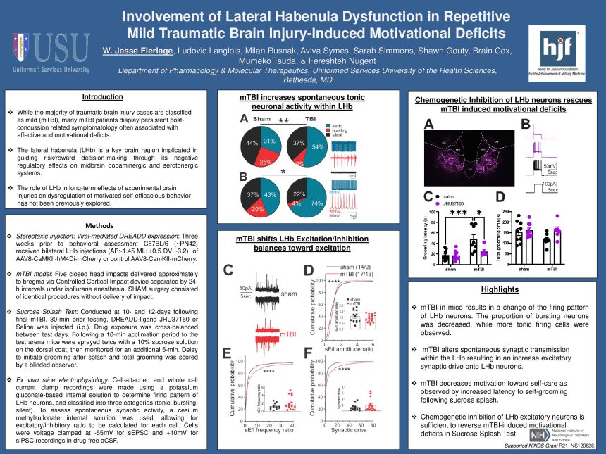 Poster PDF